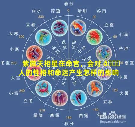 紫微天相星在命宫，会对 🐝 人的性格和命运产生怎样的影响